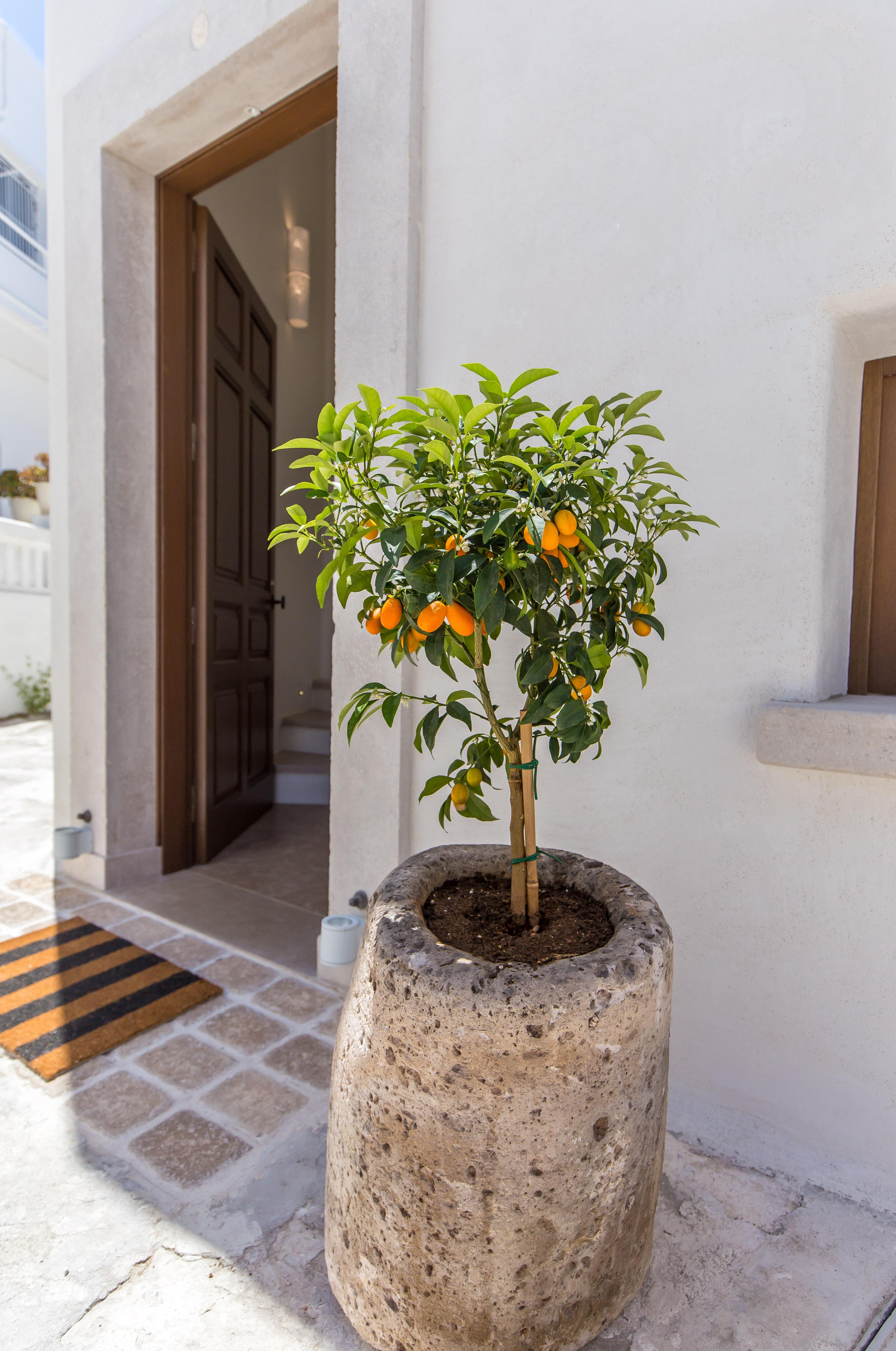 Anagram Hotel (Adults Only) Mykonos Town Exterior photo